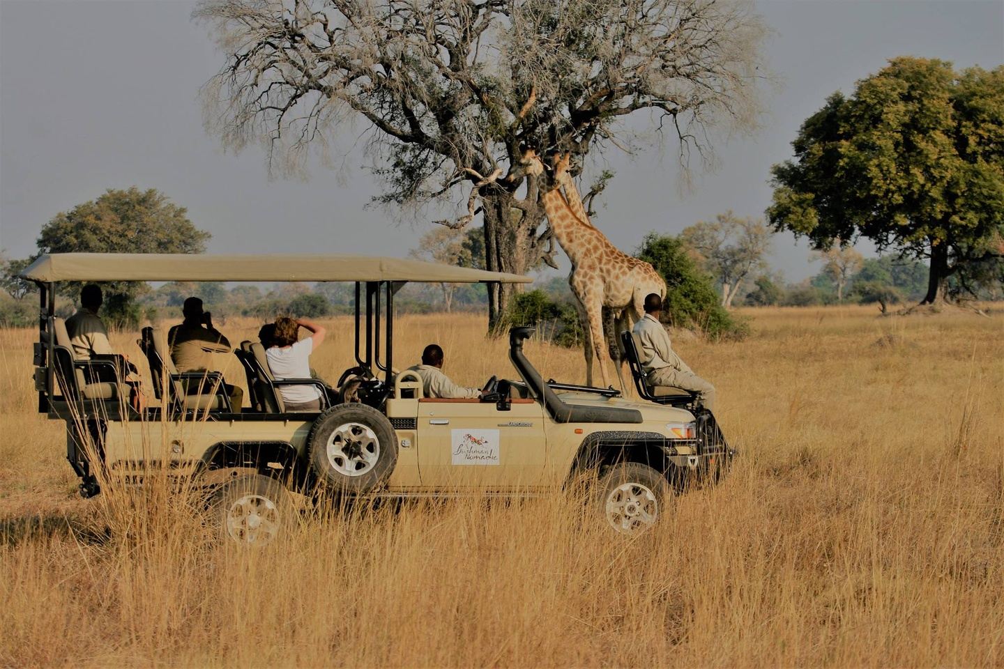 Return of The Safari Collection Tour – Kenya 🇰🇪  and Tanzania 🇹🇿 June 2024
